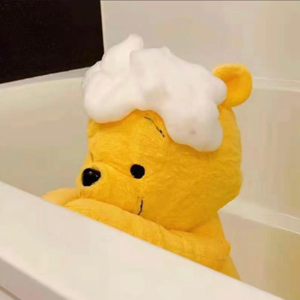 翘毛修狗爱睡觉