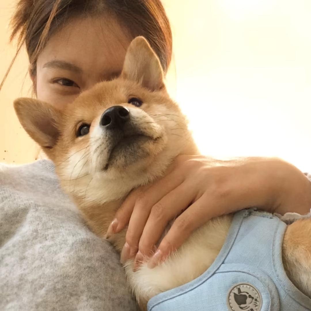 不吃煎饼碎
