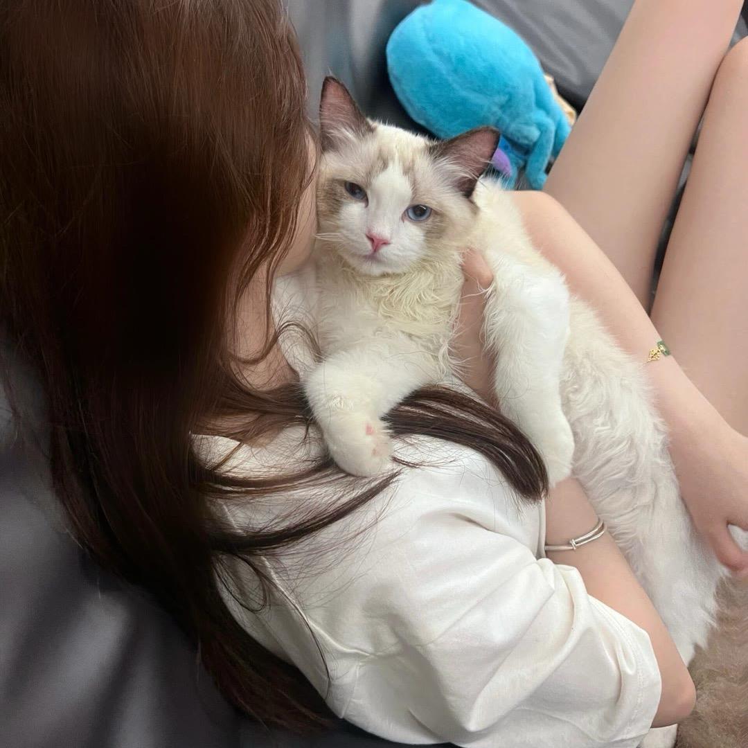 珈一👸