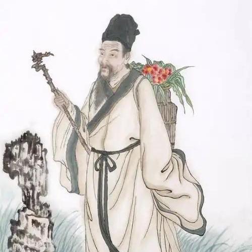 安心护理优选