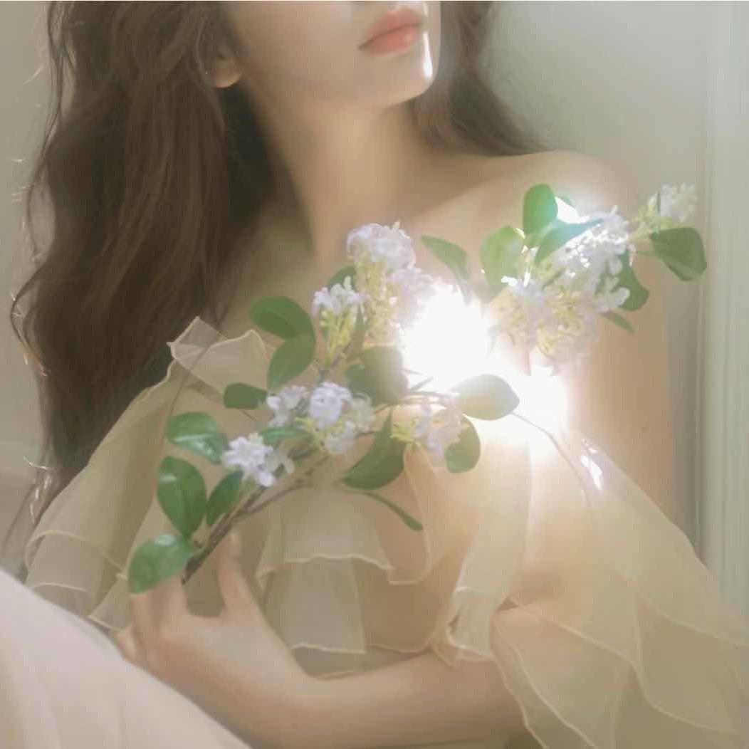 禾鲜菇🍒