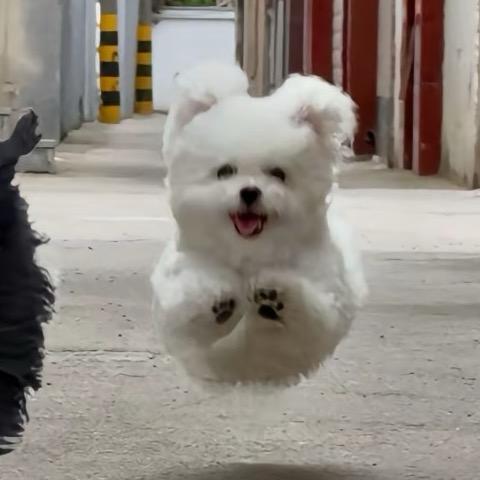 娜娜