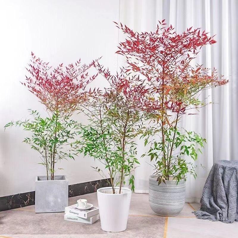 绿知意创意花坊