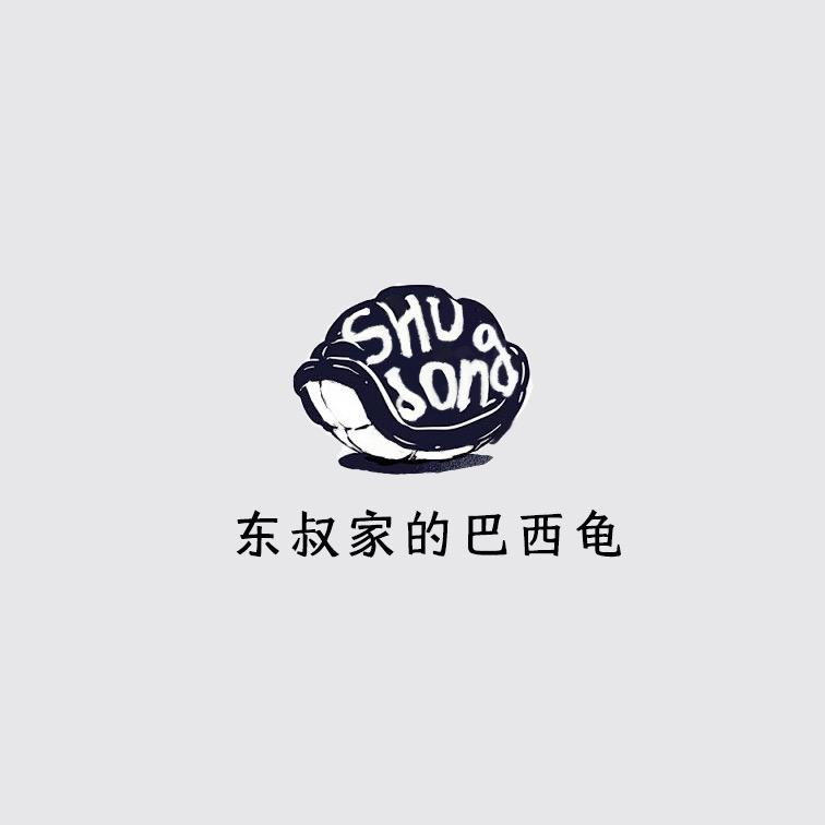 东叔家的巴西龟