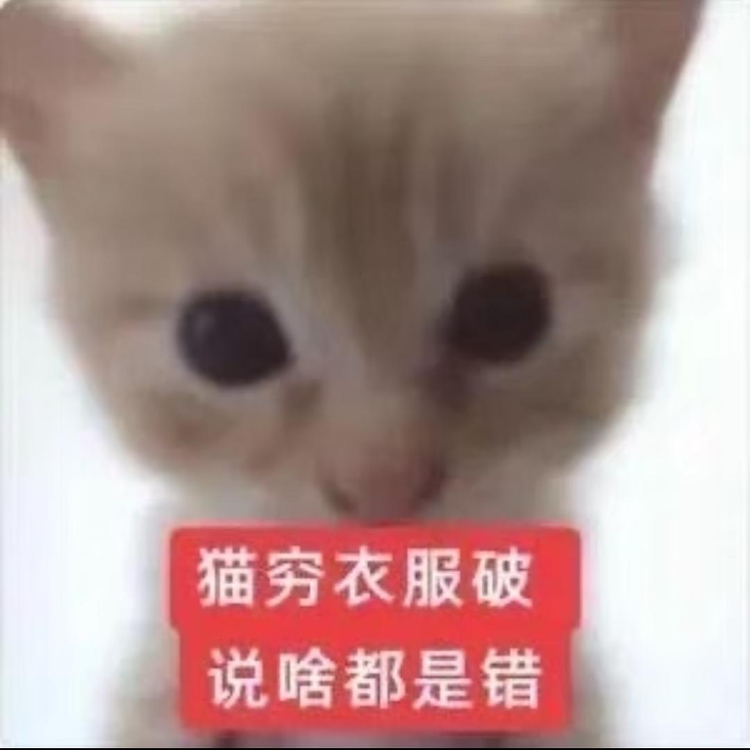 这个世界完蛋啦