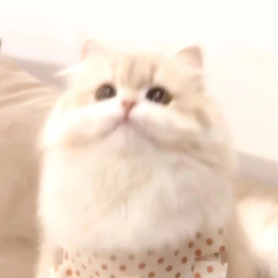 hui-慧