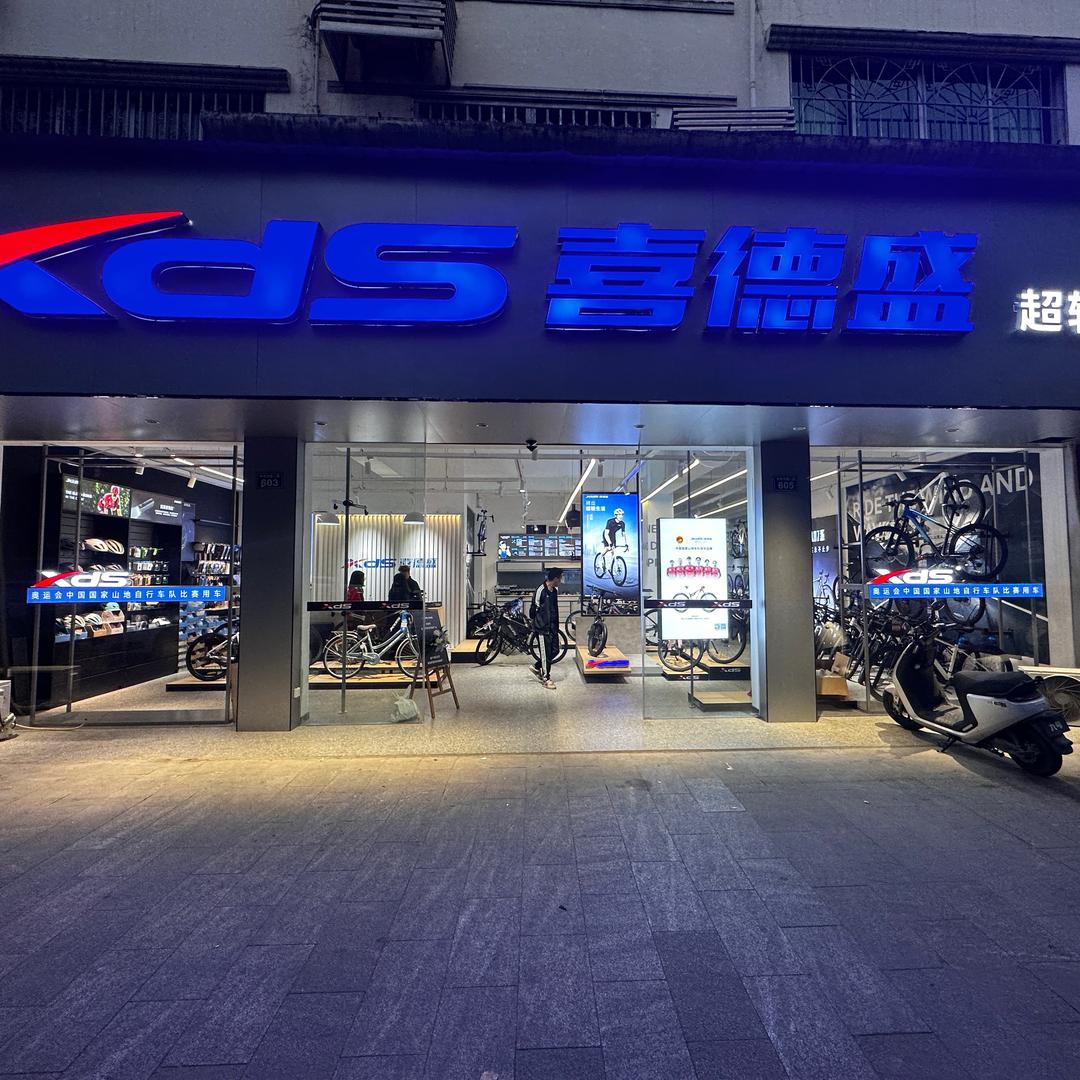 广元/阆中/南部喜德盛自行车