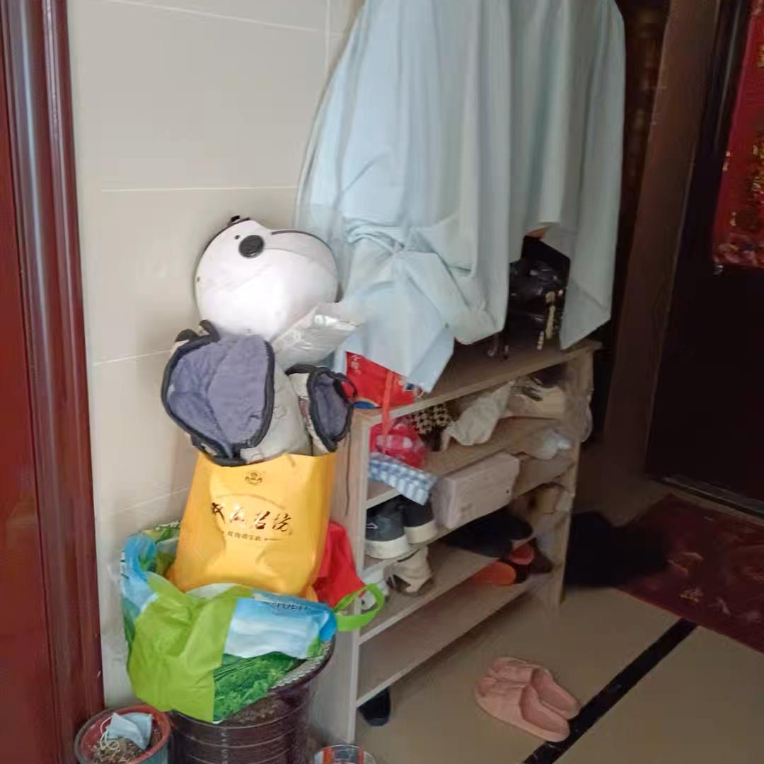 枫歌