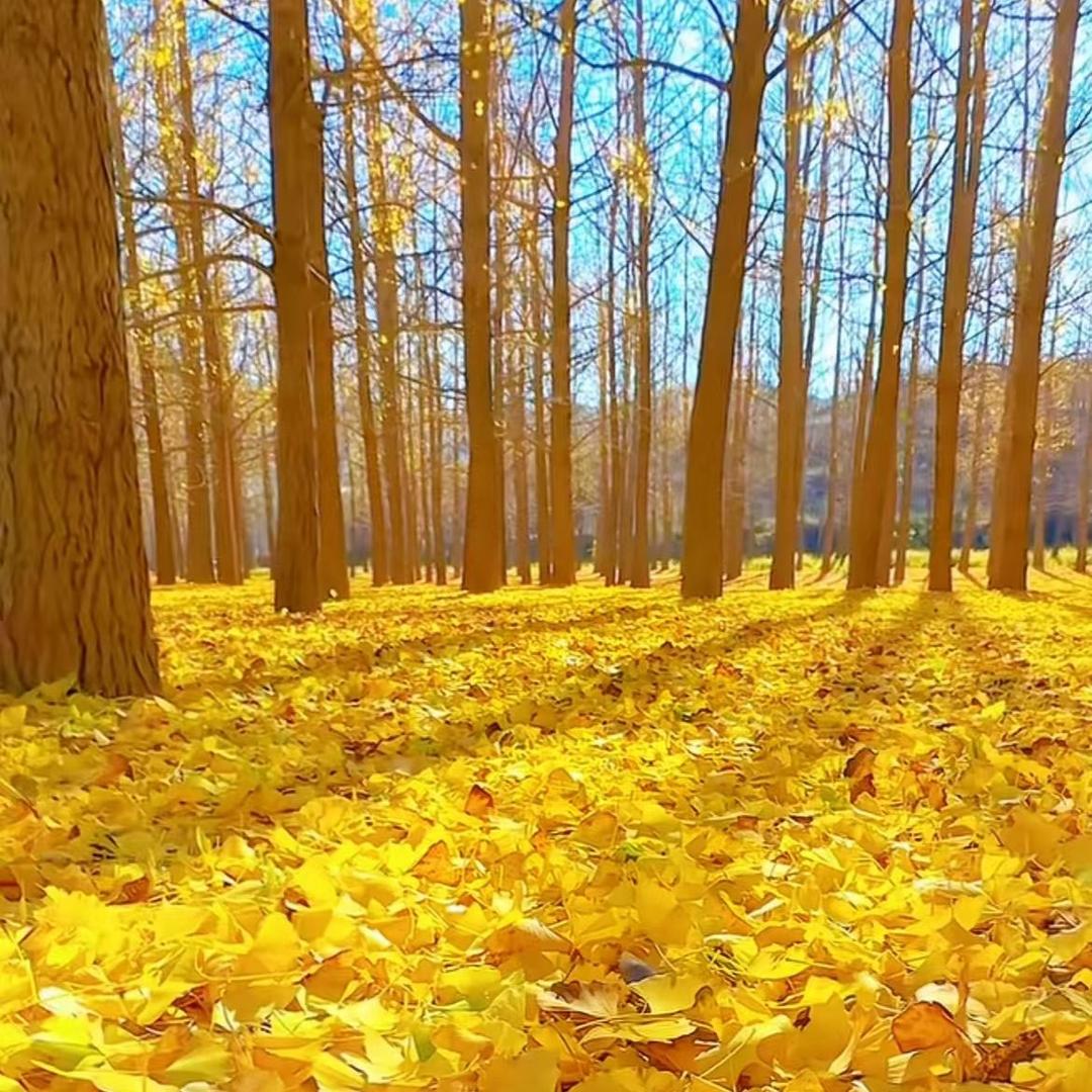 Nice Fold &Hero Call