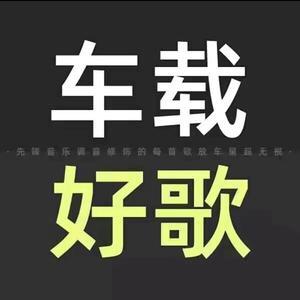 笛律车载用品