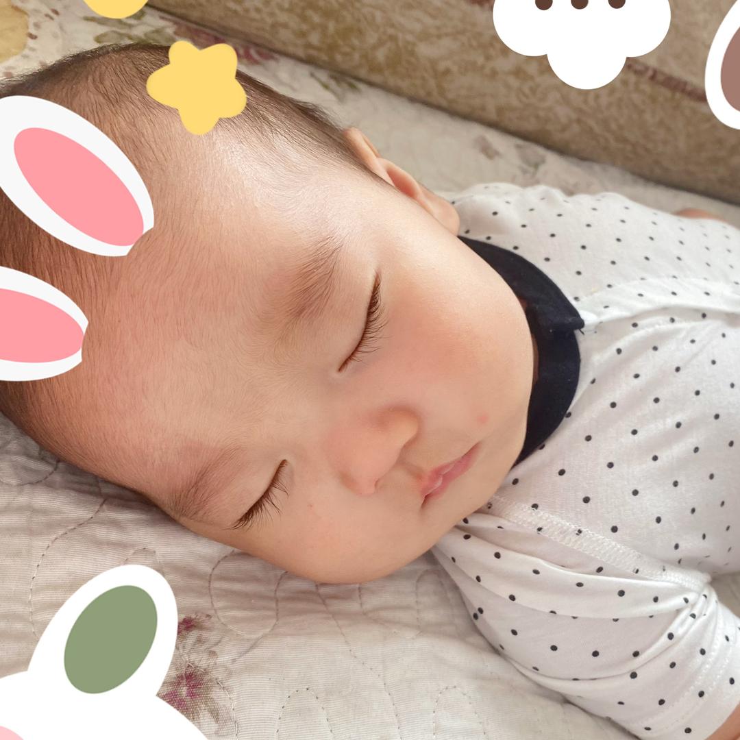 弎小只喂养记录🍼