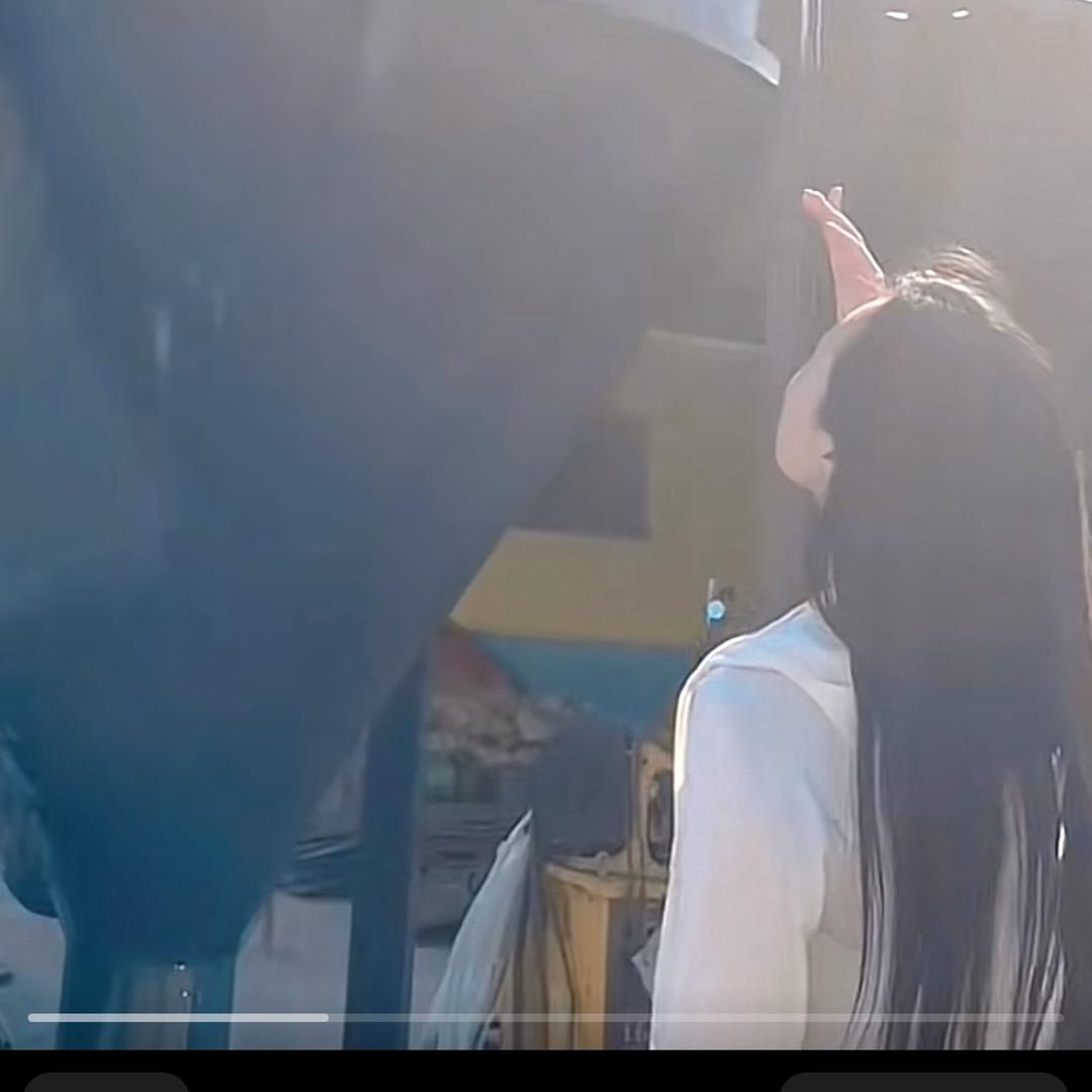 卖搅拌机的张小姐💃