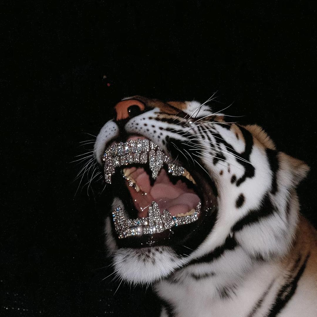 比较嗨的绵宝宝的店