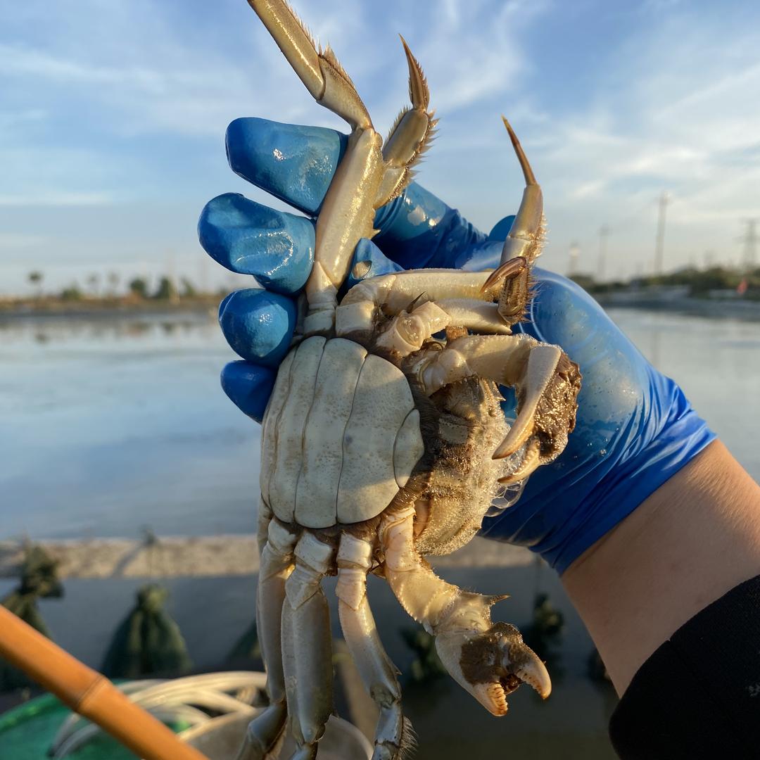宇琳生鲜水产店
