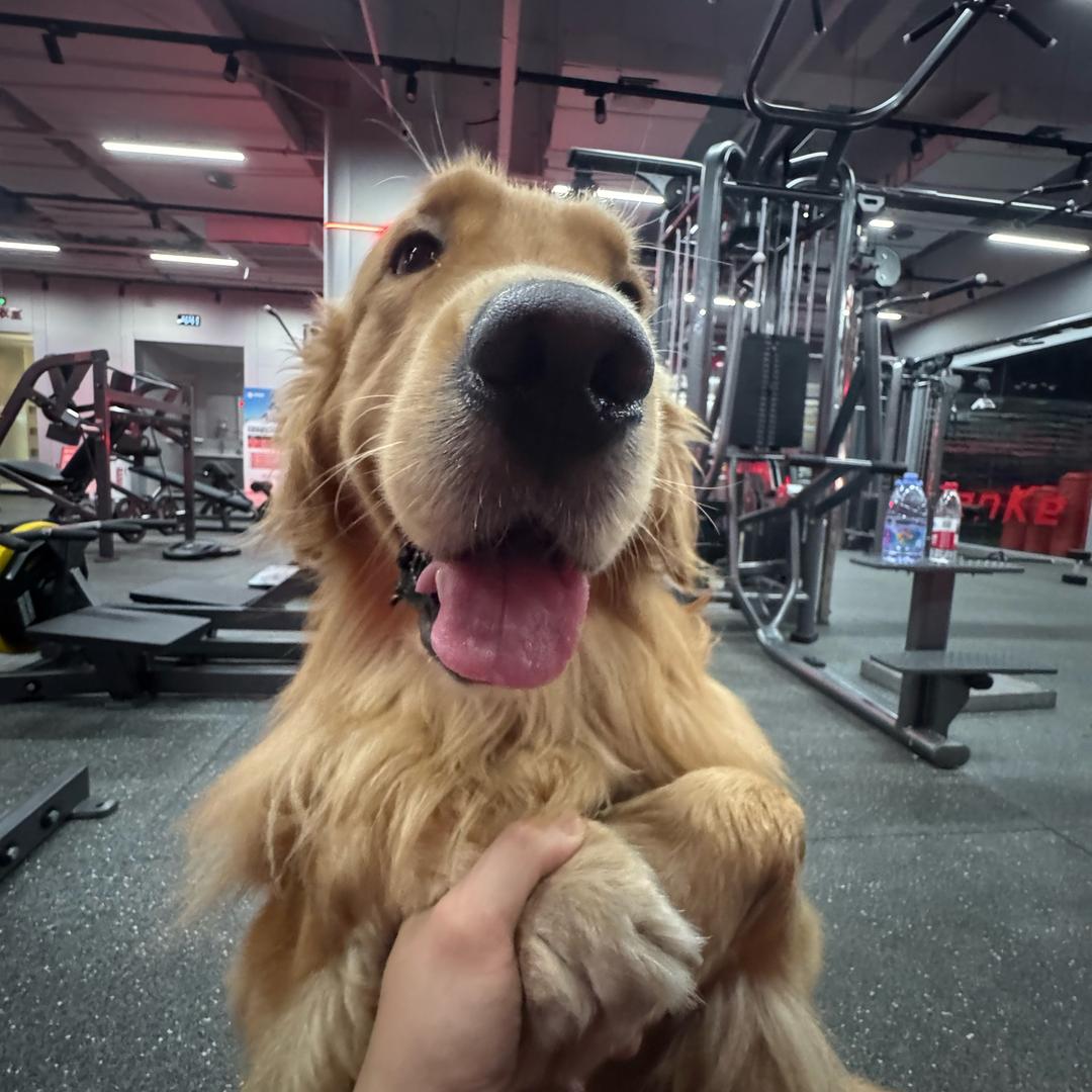 群众里面有坏人