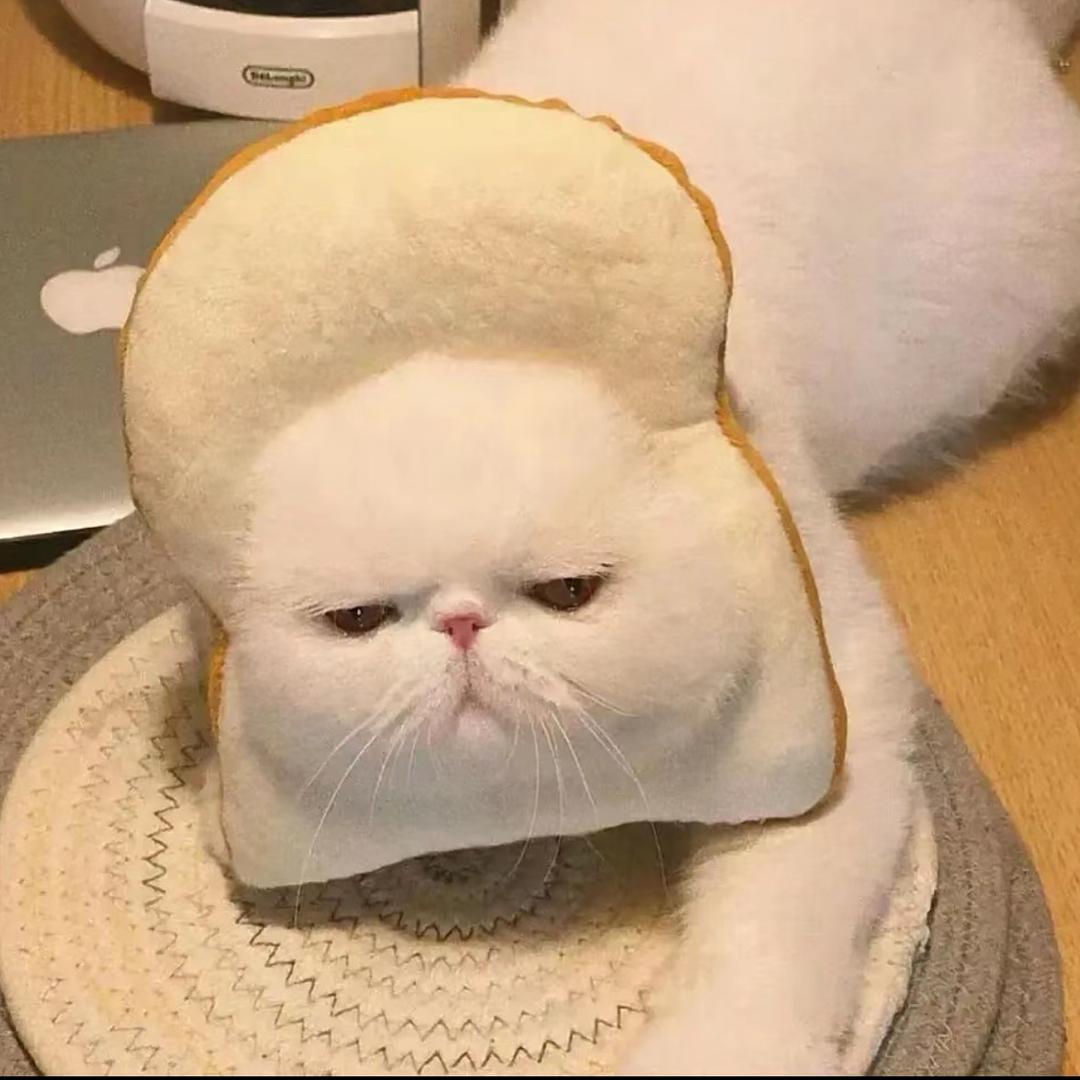 哦吼哈