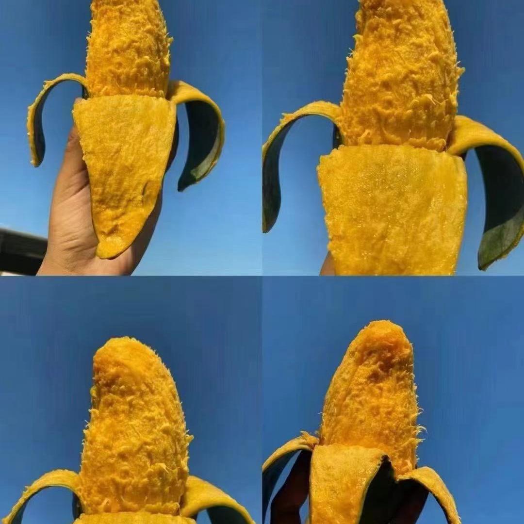 每壹季优选