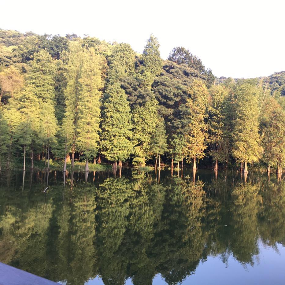 小豆豆