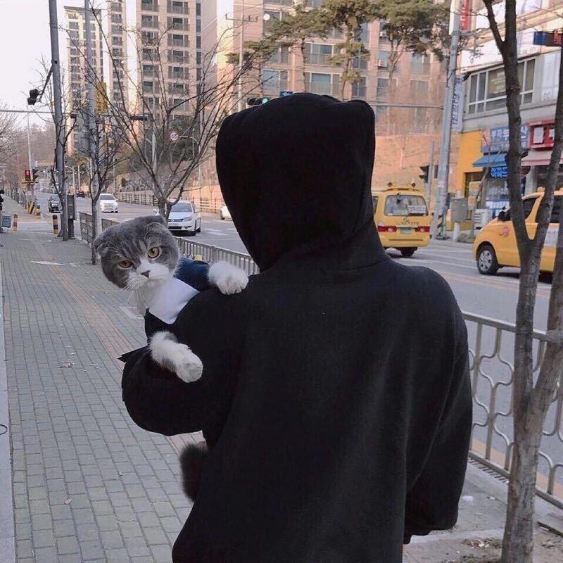 风声已过，