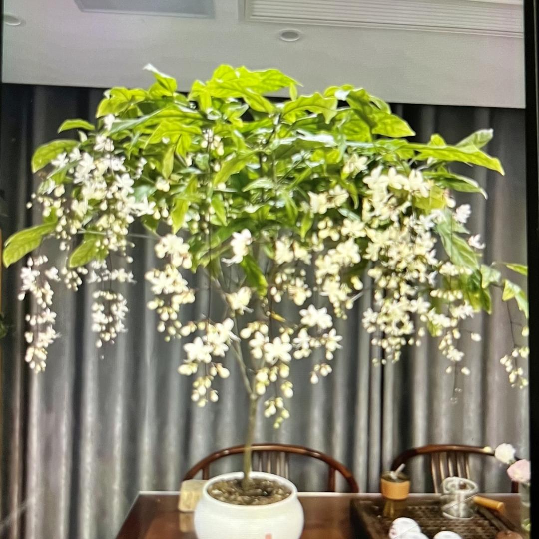 漳州市虞姬商贸有限公司