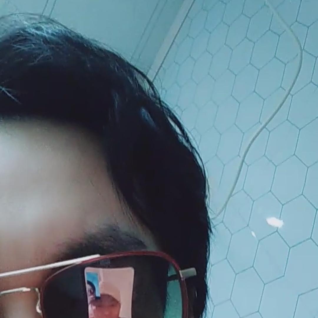 东辰木