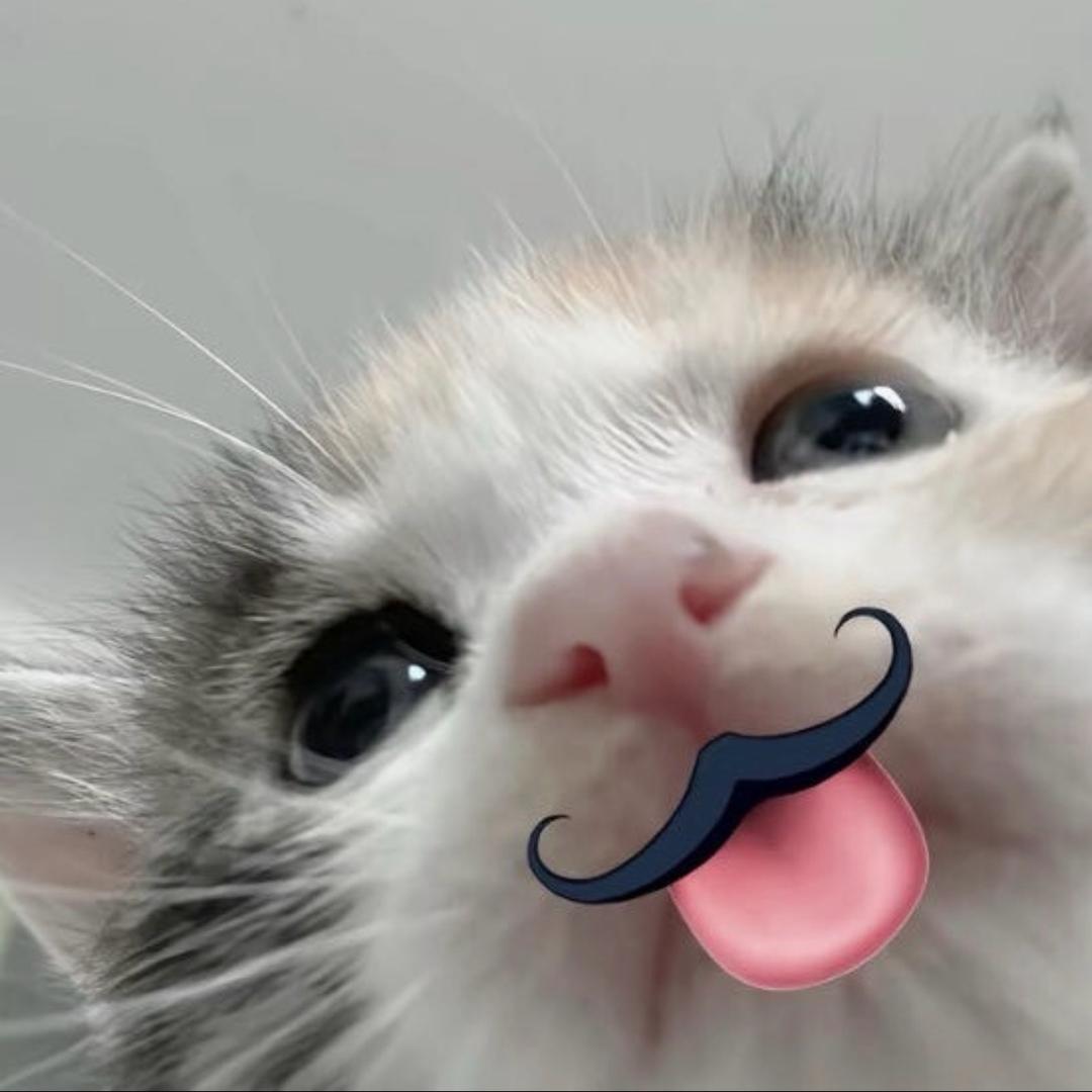 北纬°｜Souelosie