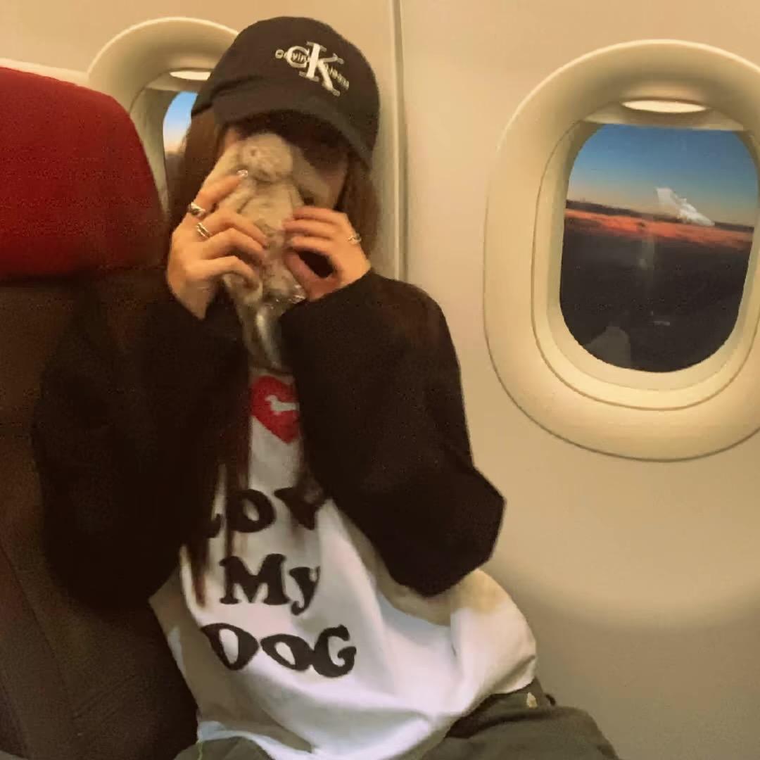 花开富贵-