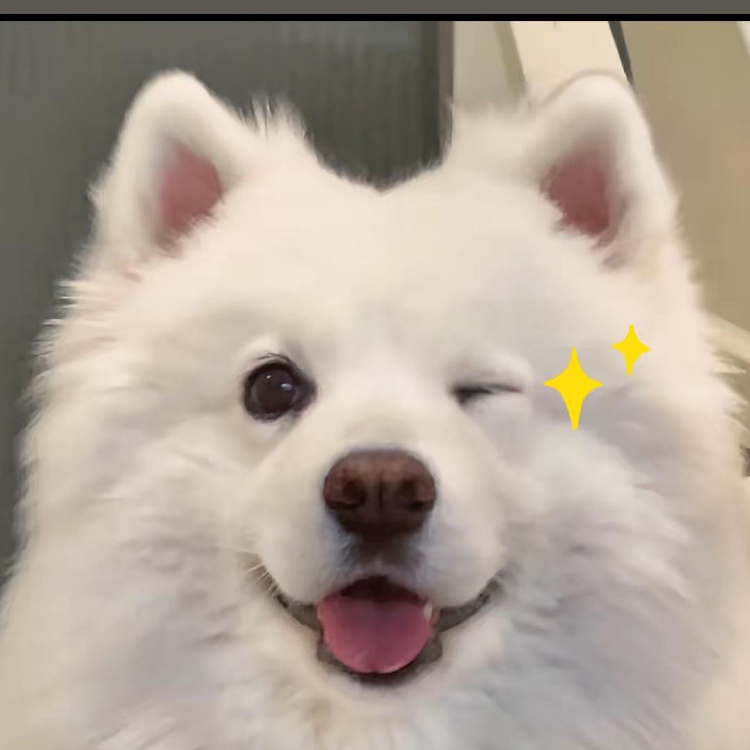 我要去新疆