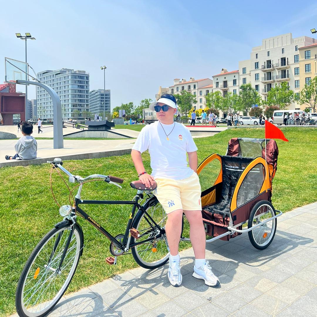 陶花盛开的地方