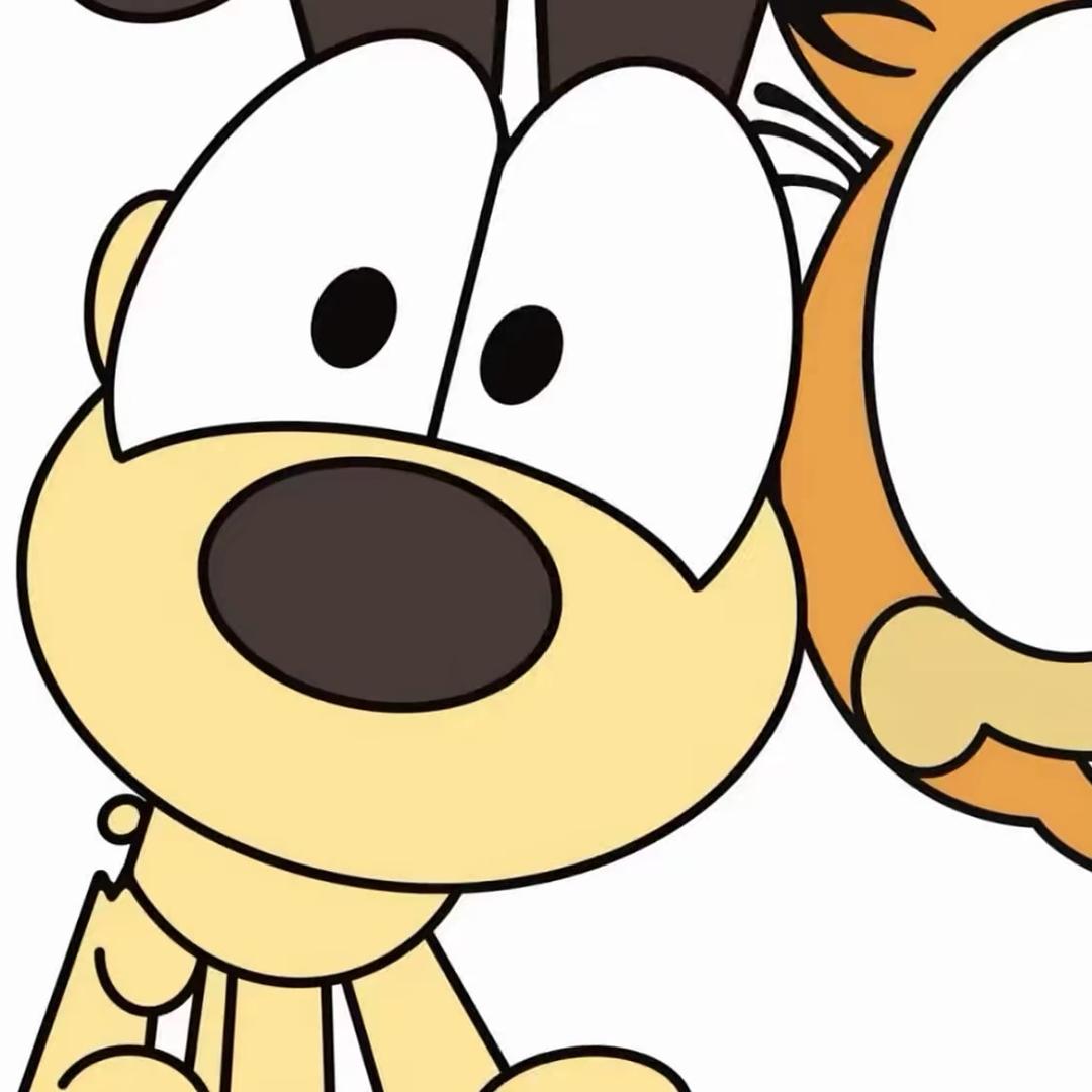 2 6