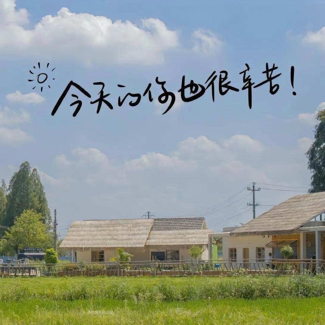 沅汽Y