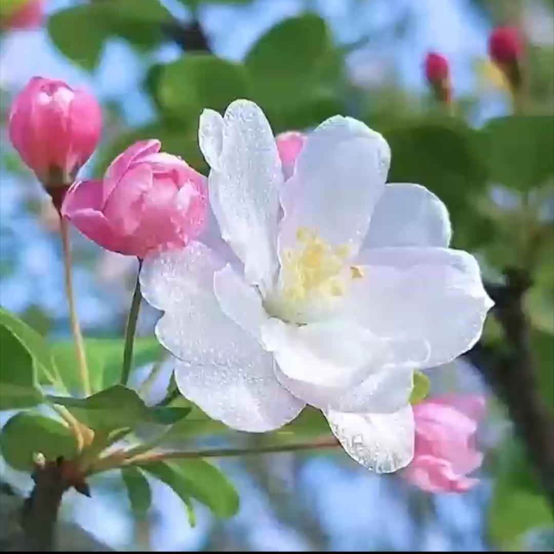 里里💕