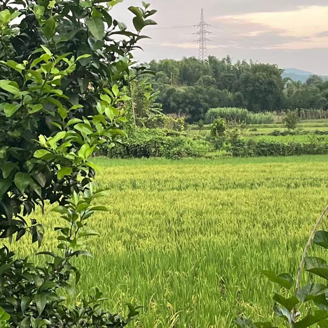 🌈晚安吾爱