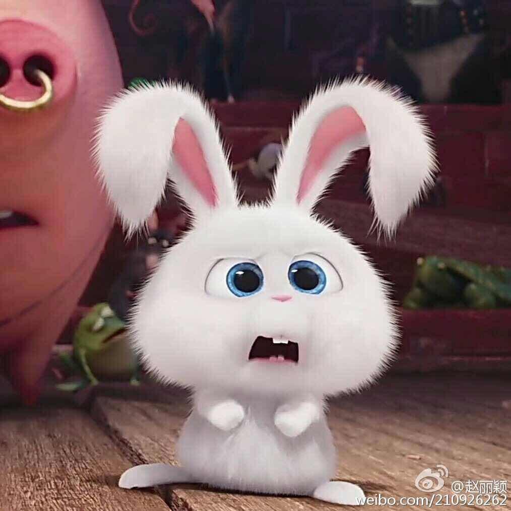牛奶糖wys