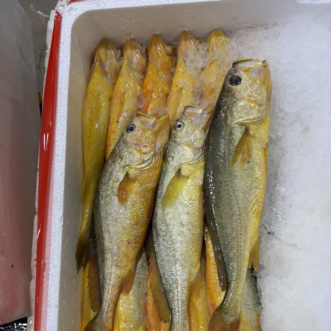 鲜享海洋