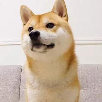 云顶_阿拉丁·