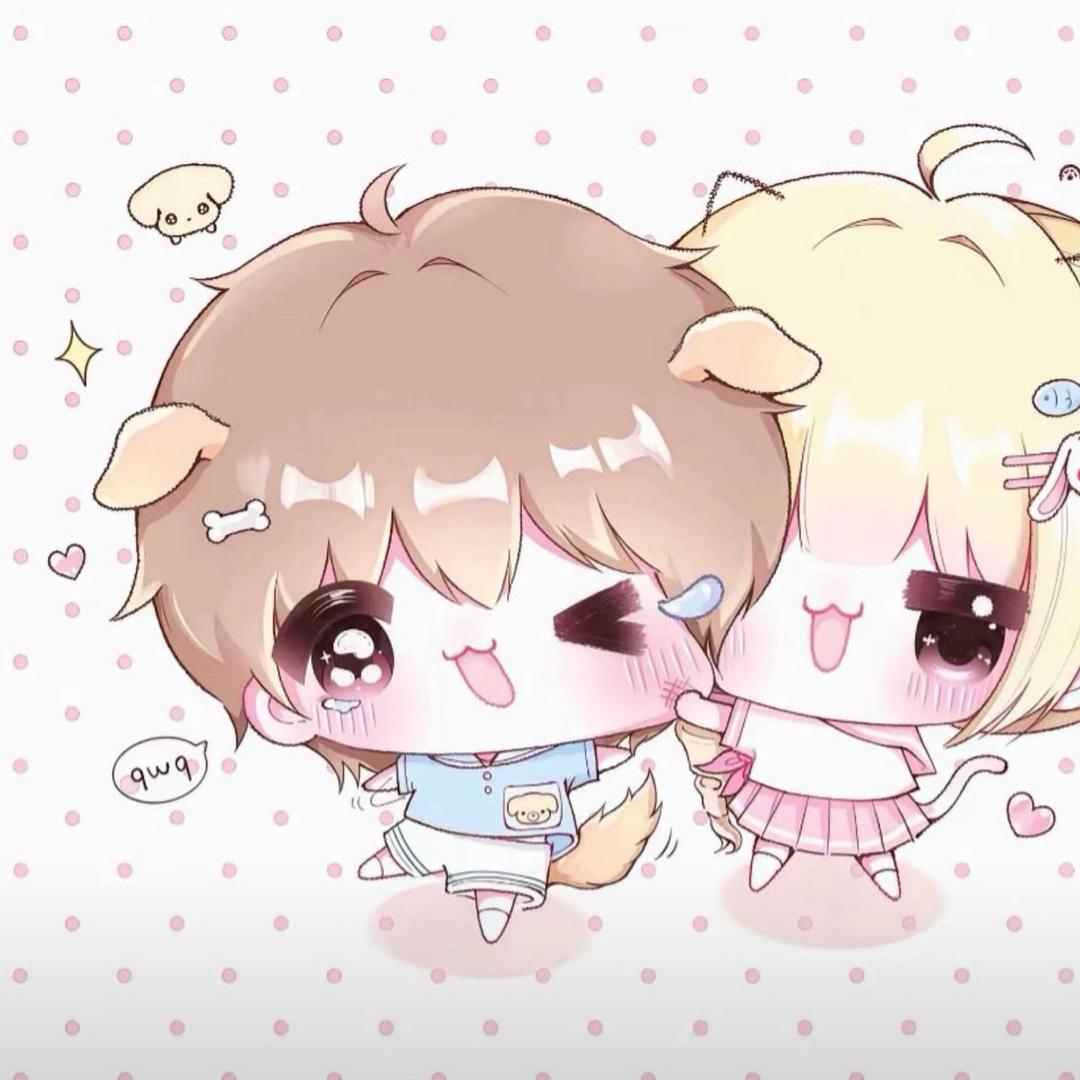 我就一个小猫宝宝