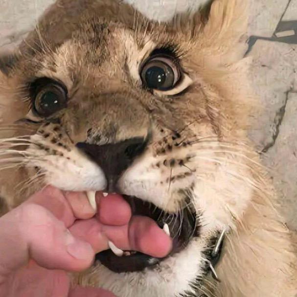 ㅤㅤㅤㅤㅤㅤㅤㅤ   ㅤㅤㅤㅤㅤㅤㅤ