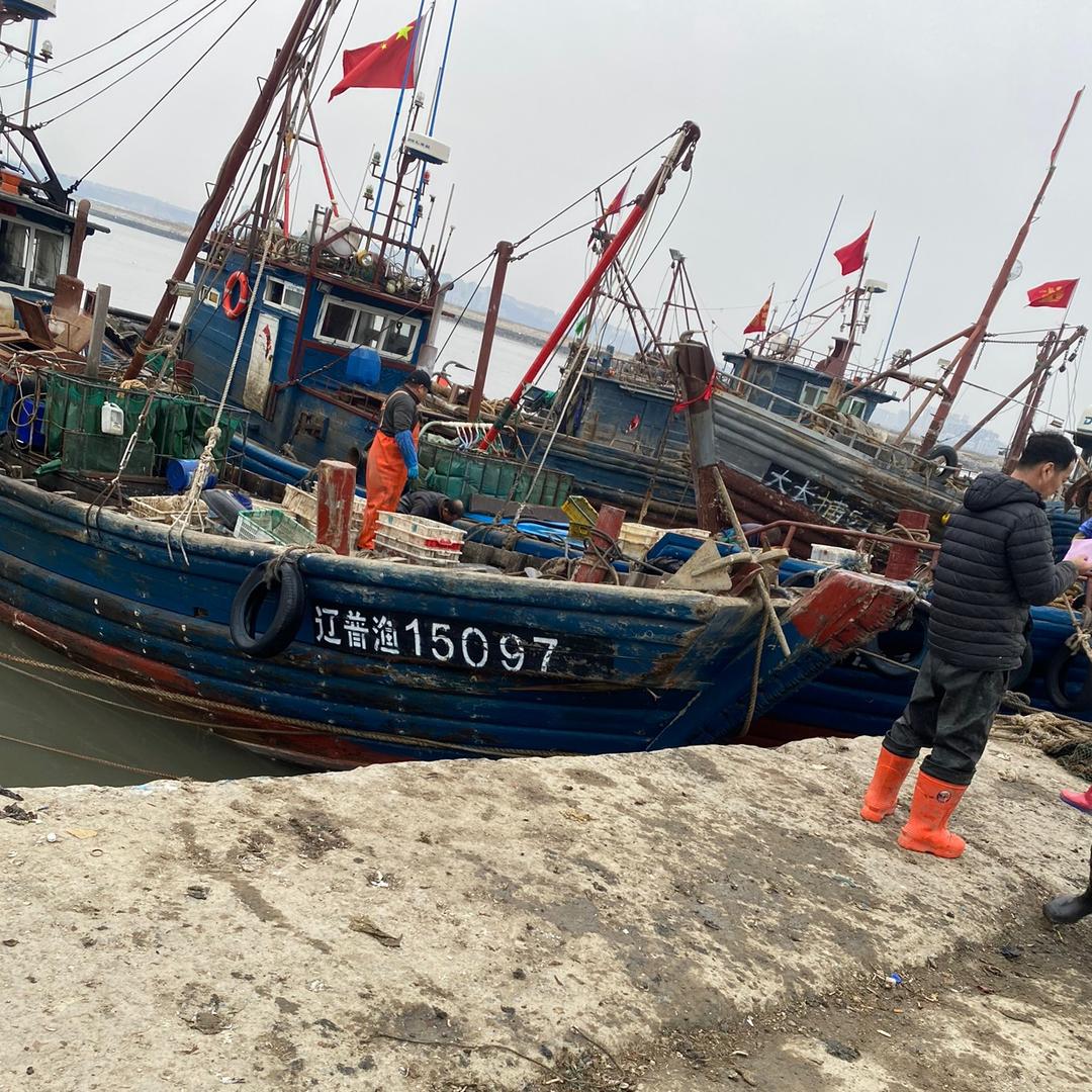 桃子海鲜小号