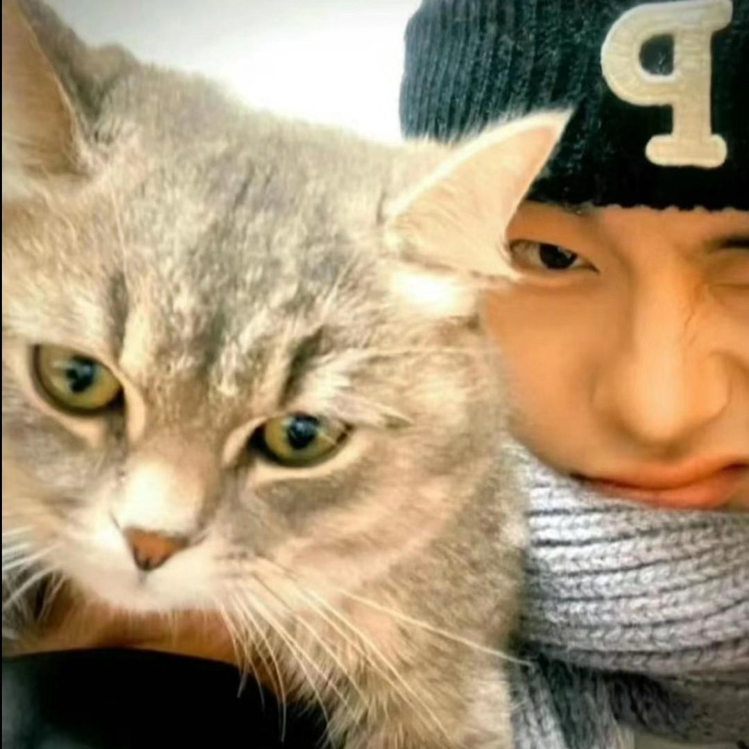 小猫老师