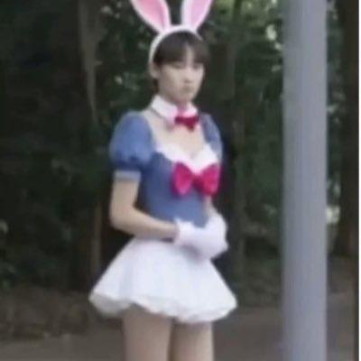 可食用小阳