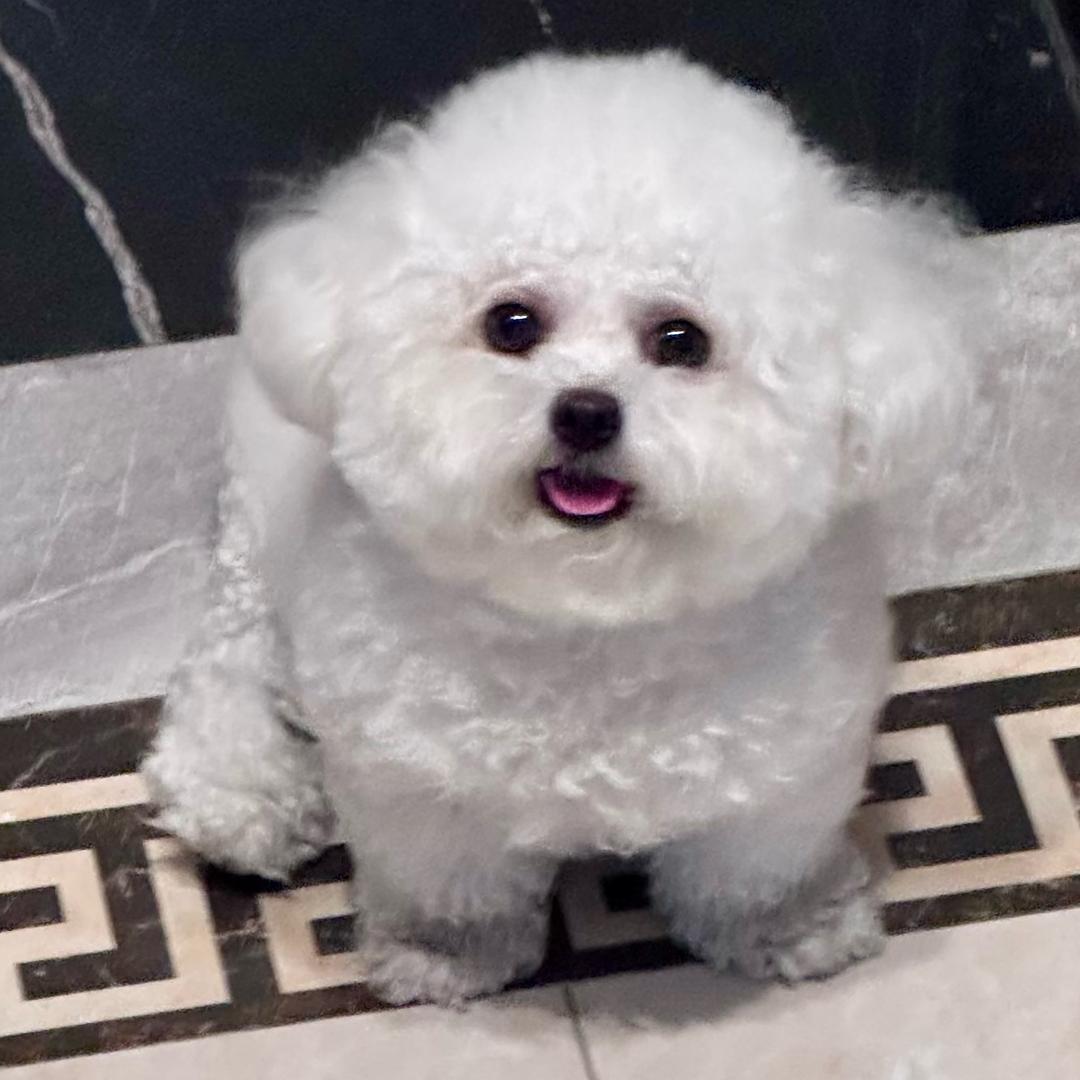 旺小米的朋友圈