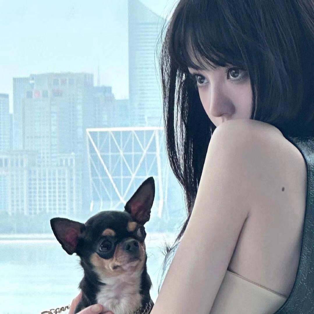 脱俗