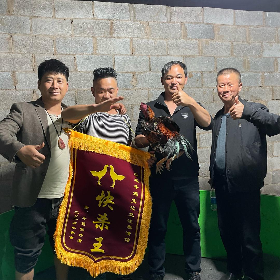 创辉🐔（小范）