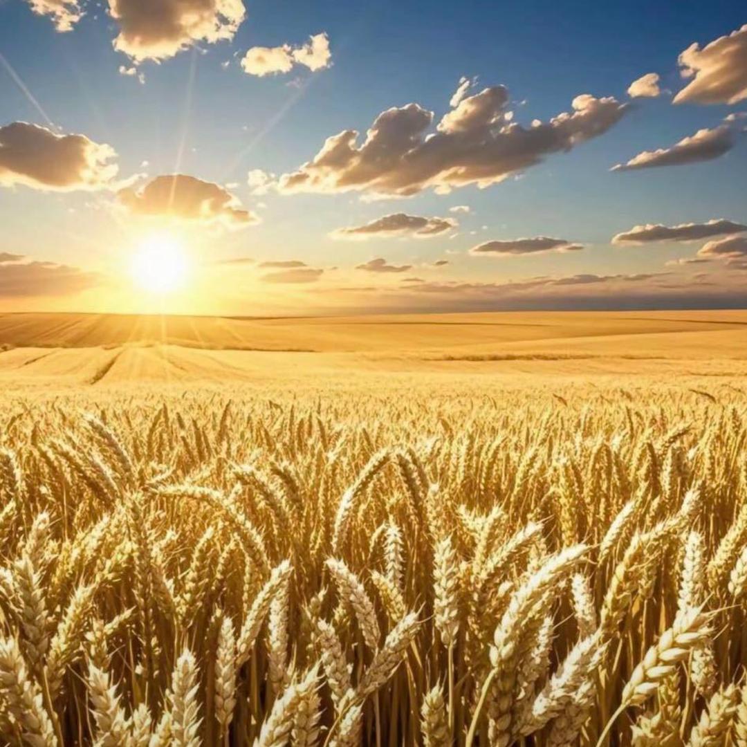 Johnny Kwok（表哥）