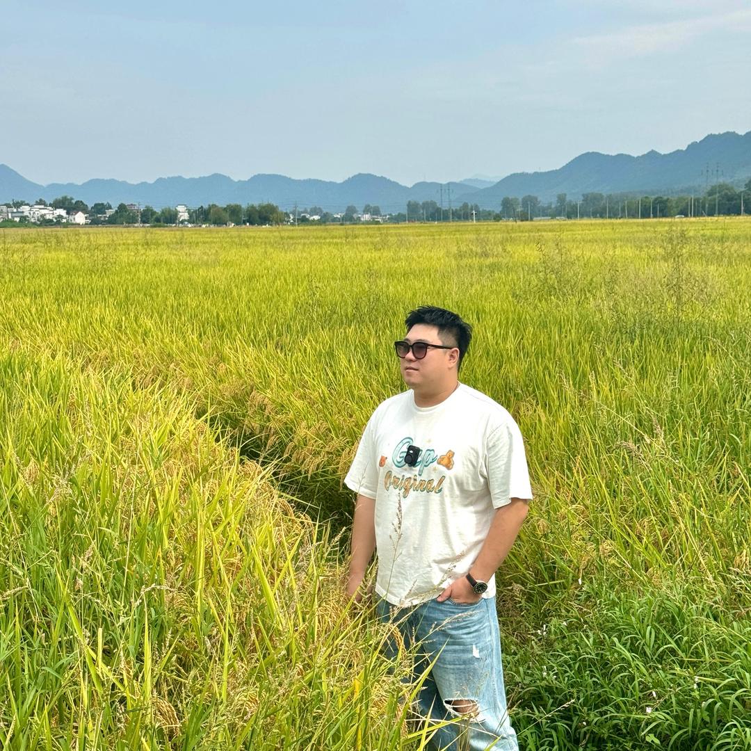 阳阳追剧