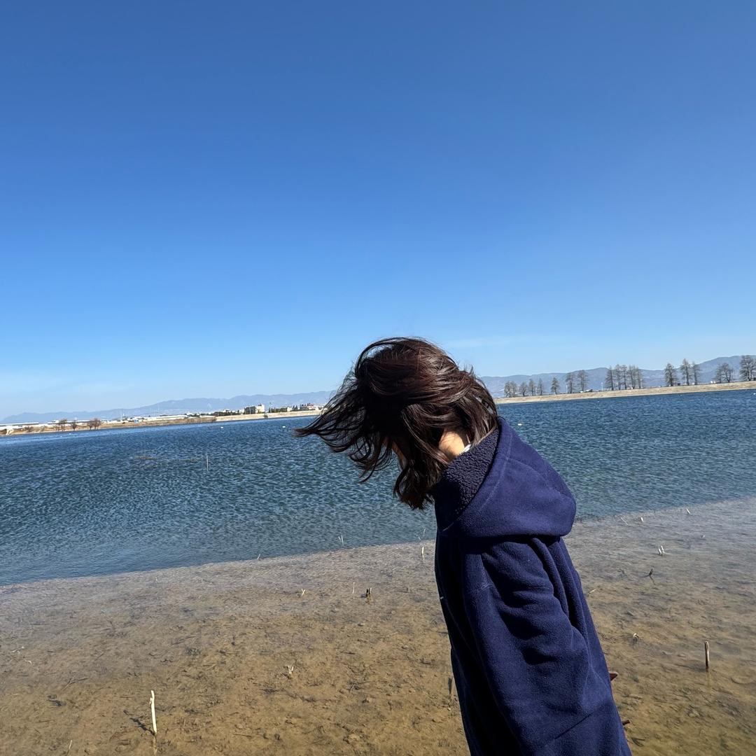 卡萨布兰卡是lily 呀