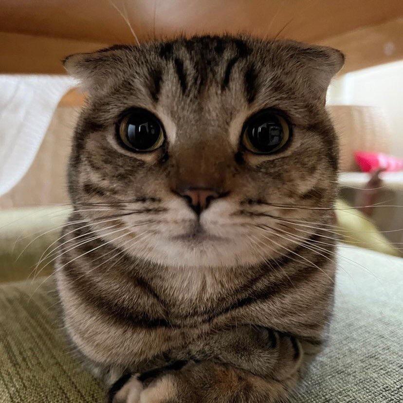 ttyty