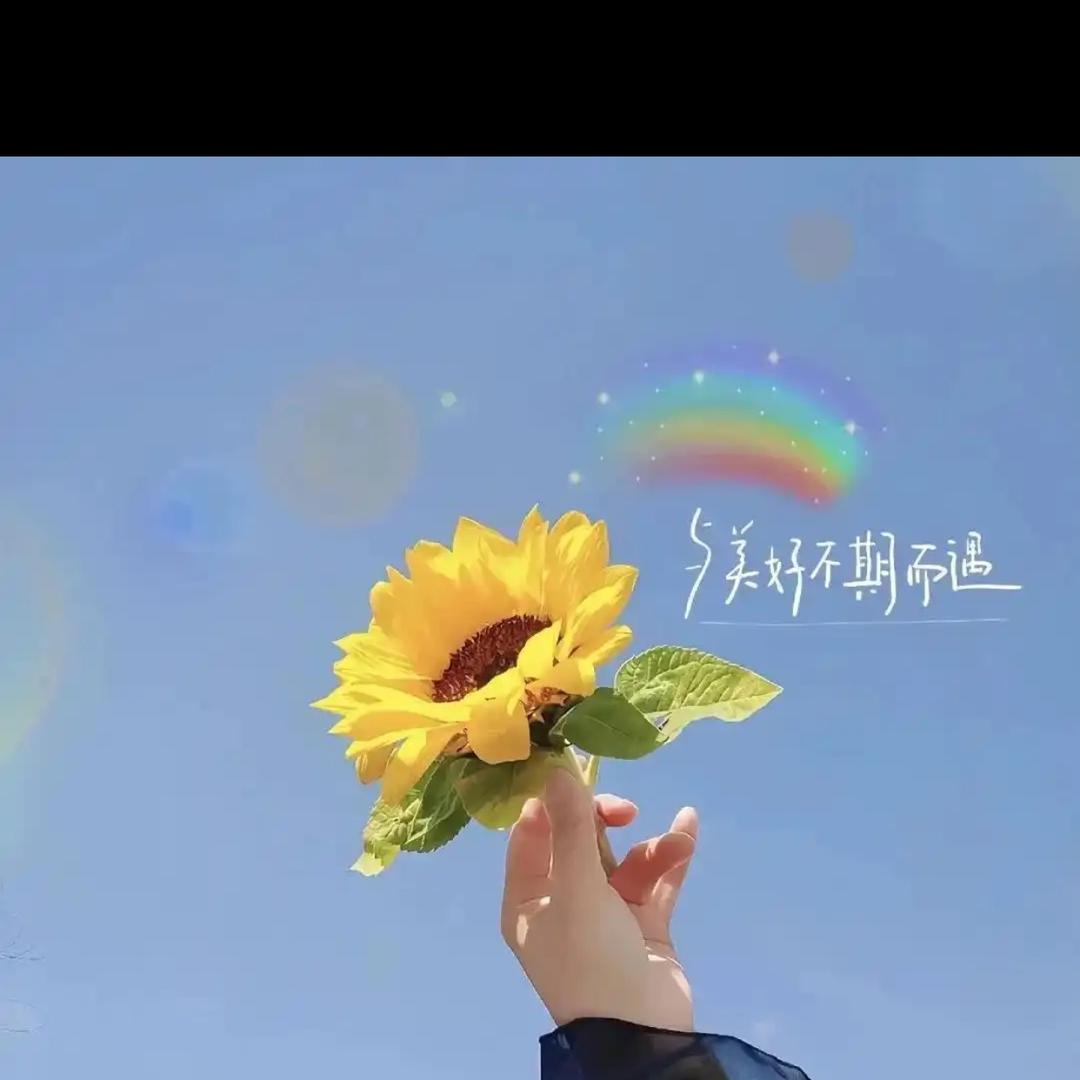 🌼小花