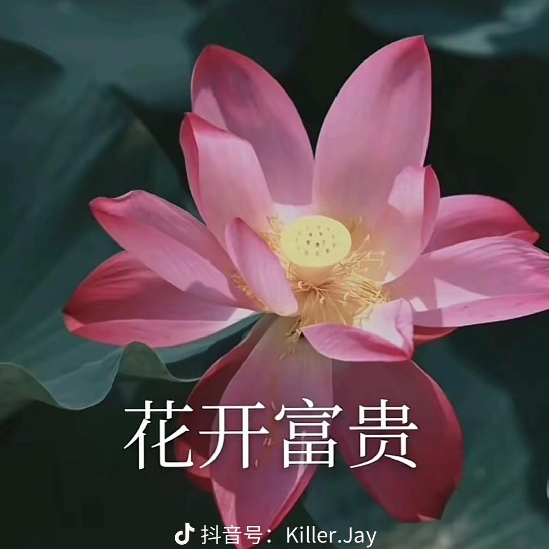 大叔玩游戏